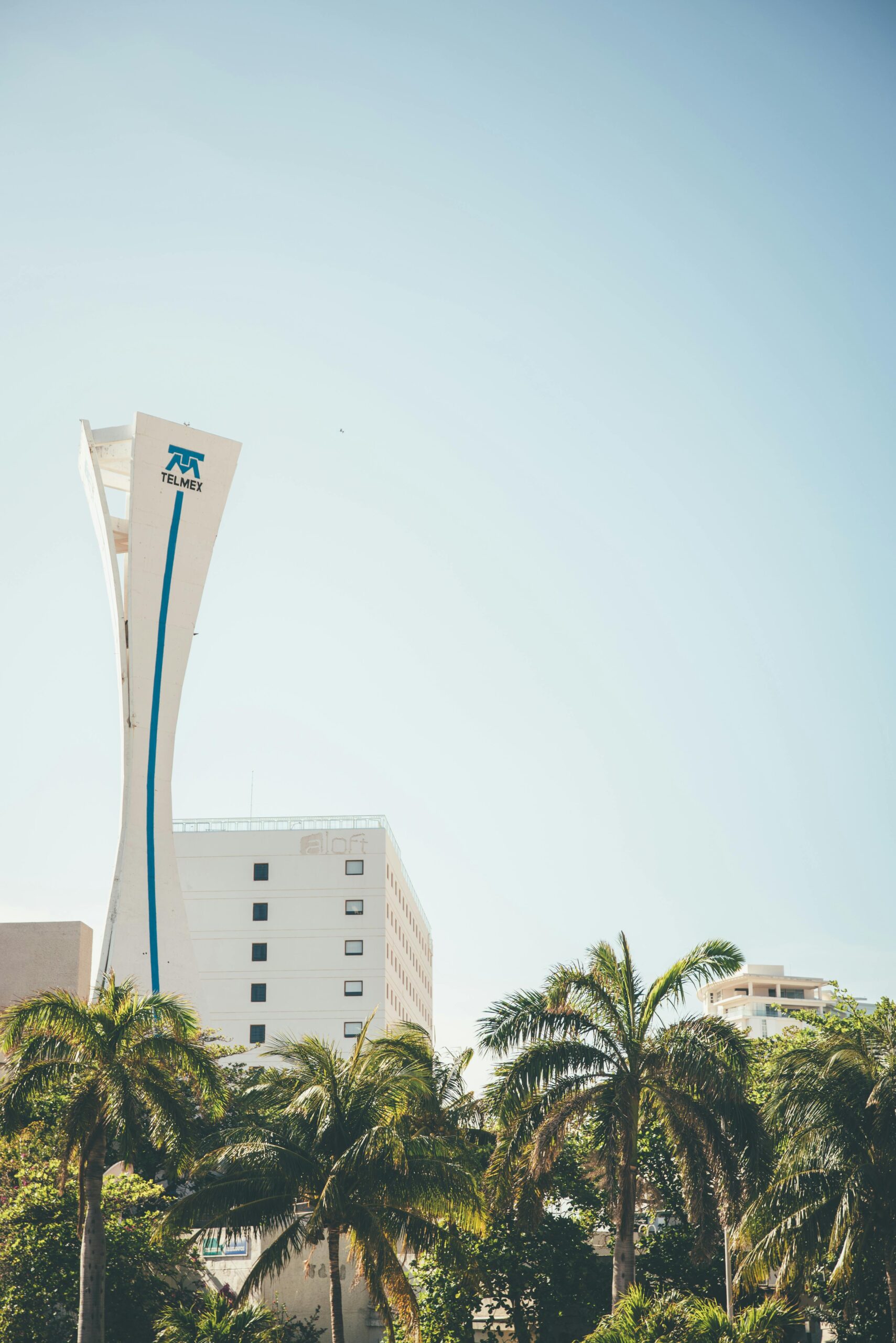 pexels zachtheshoota 4306939